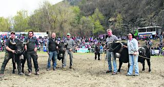 Ex-aequo-Siegerinnen Kategorie 2. Von links: &laquo;Rocky&raquo;, Tjarc Gattlen und Alain Zumofen, Turtmann; &laquo;Dolly&raquo;, Helmut und Werner Furrer, B&uuml;rchen; &laquo;Canaille&raquo;, Toni Imboden und Elda Pollinger, M&ouml;rel-Filet. 