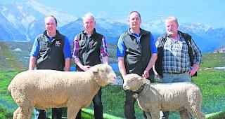 Sieger-Gen. Die als &laquo;Mister Gampel&raquo; und &laquo;Miss Gampel&raquo; gek&uuml;rten Tiere stammen vom selben Vater ab. Die Z&uuml;chter Mario Furrer (Zweiter von links) und Rinaldo Imhasly zeigen stolz ihre Tiere, umrahmt von WAS-Verbandspr&auml;sident Fabian Schwery (links) und Chefexperte Hans-Rudolf Wegm&uuml;ller (rechts).  