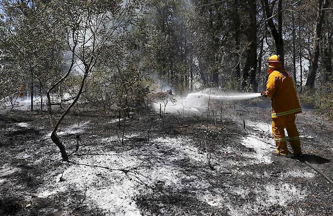 Nahe der Grossstadt Sydney ist am Samstag ein Buschfeuer ausgebrochen. Hunderte Feuerwehrleute waren mit der Brandbekämpfung beschäftigt. 