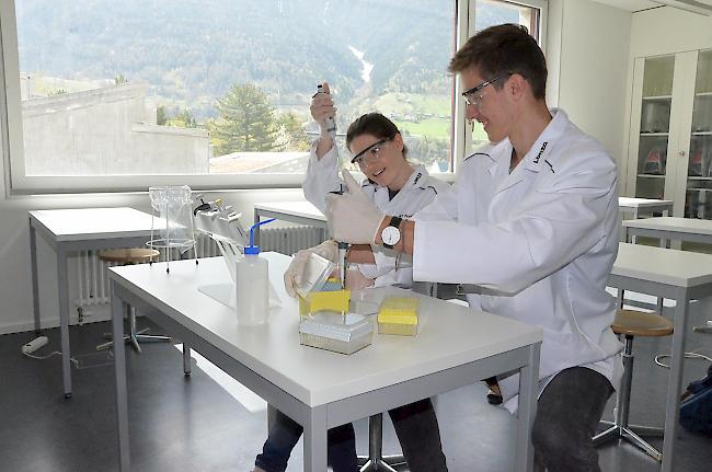 Von der Naturwissenschaft fasziniert: Aus knapp 1300 Teilnehmern stiessen Noemie Allet und Fabian Amherd an der Schweizer Biologie Olympiade 2018 bis in die Top 10 vor.