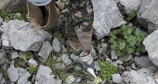 Die Schweizer Armee hat im vergangenen Jahr 303 Blindg&auml;nger sowie 1312 St&uuml;ck Munitionsschrott eingesammelt.