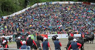 Das Budget f&uuml;r die Durchf&uuml;hrung des Nationalen Finales ist in Zwischenzeit auf fast 1,4 Millionen angestiegen (Archivbild).  