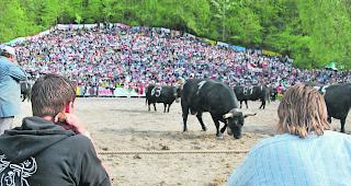 Neugestaltung. Das Festivalgel&auml;nde rund um die Arena in Aproz erf&auml;hrt mehrere Neuerungen. 