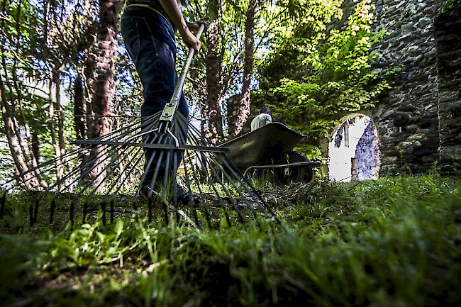 Gartenarbeiten ohne Verletzungen: laut bfu können Gefahrenquellen einfach entschärft werden. 