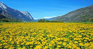Zwischen den h&auml;ufigen Regentagen zeigte sich ab und an auch der Hochsommer. 
