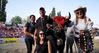 &laquo;Veielett&raquo; ist die neue Reine des Reines