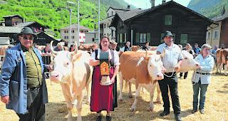 Der Siegerstall. Von links: Werner Bellwald, Verbandspr&auml;sidentin Margot Lorenz, Willi Summermatter und Alice Andenmatten. Die Betriebsgemeinschaft Andenmatten und Bellwald stellte mit der &laquo;Miss Stalden&raquo; und der &laquo;Miss Vispertal&raquo; gleich mehrere Siegertiere.  
