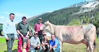 Miss BS. Experte Florian Pfulg (links) w&auml;hlte Einstein Elsa von Ren&eacute; Imoberdorf (Zweiter von links) zur Miss Brown Swiss. 