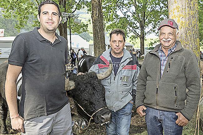 Philipp Schaller (32), Kurt Imesch (57) und Guido Schaller (67), Zeneggen.