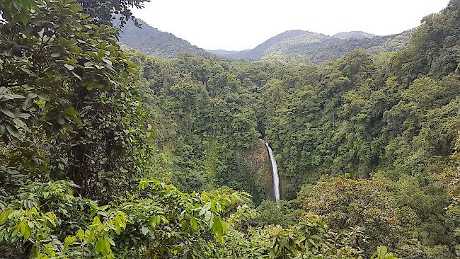 Natur pur in Costa Rica