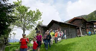 Die Teilnehmenden genossen die Fr&uuml;hlingslandschaft von Niederwald und Blitzingen.