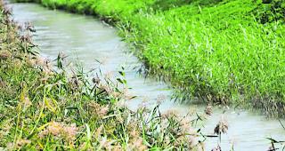 Betroffen. Auch im Grossgrundkanal wurden &uuml;berh&ouml;hte Werte gemessen.  