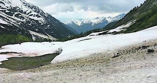 Schneedecke. Bis im Gebiet zwischen dem kleinen und grossen Guggisee die Alpenkr&auml;uter gedeihen, d&uuml;rfte es noch eine ganze Weile dauern. Die Alpwiese ist noch von einer mehrere Meter dicken Schneedecke verh&uuml;llt. 