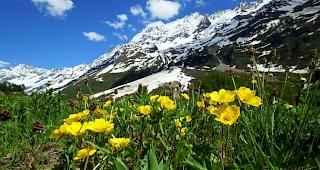 W&auml;hrend es in den Bergen morgens meist sonnig ist, sind in den kommenden Tagen gegen Abend erneut lokal Platzregen zu erwarten.