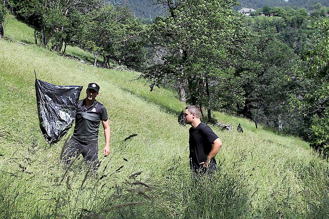 Verblendmaterial. Wiesenbesitzer Sebastian Heldner (rechts) hilft Wildhüter Adrian Schmid.