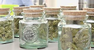 Legales Cannabis ist von illegalem nur chemisch zu unterscheiden.