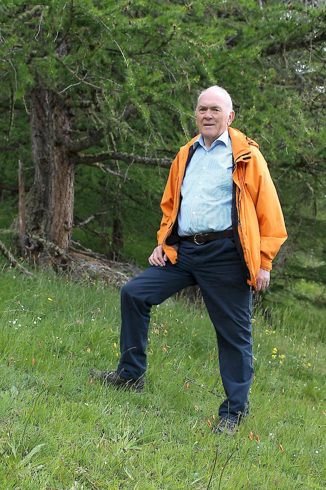 Blumenfreund. Roman Juon weiss, wo die Törbjer Tulpen anzutreffen sind.