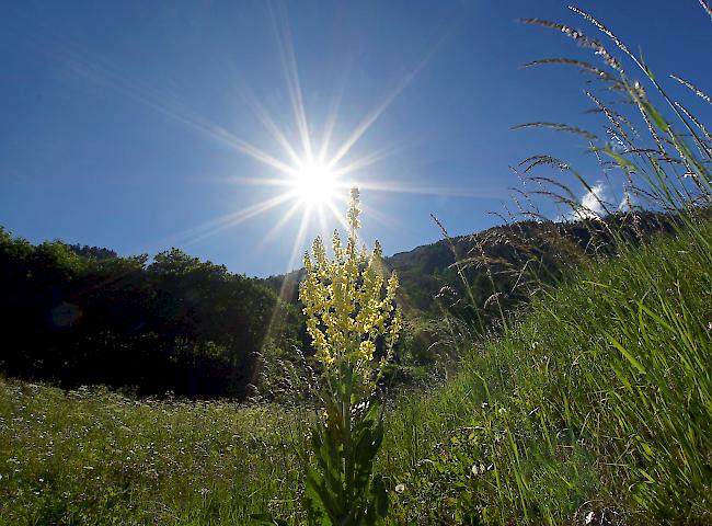 Am heutigen Dienstag blühen uns sieben bis zehn Sonnenstunden.