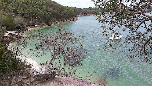 Erika Nielsens Insidertipp: Der Manly Beach 