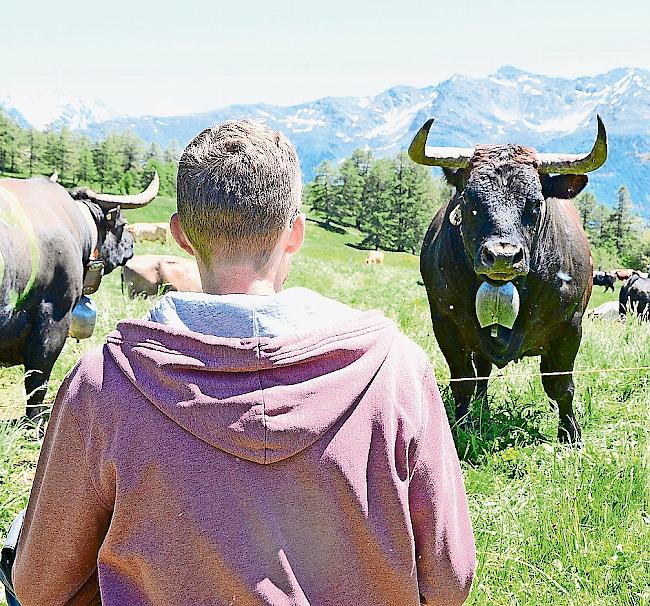 Wie gebannt. Sie scheinen sich tief in die Augen zu blicken.