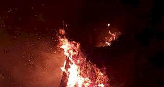 Ein Baumstock brannte Samstagnacht im Erner Wald am Orte genannt &laquo;Ufer Egga&raquo;.