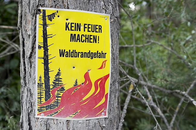 Im Wallis herrscht derzeit grosse Waldbrandgefahr.