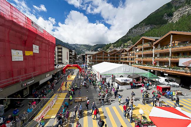 Organisation. 1000 Helfer sind nötig, um den Gornergrat Zermatt Marathon auf die Beine zu stellen.