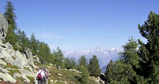 Der H&ouml;henweg Gr&auml;chen - Saas-Fee ist aber sofort offen.&nbsp;&nbsp;