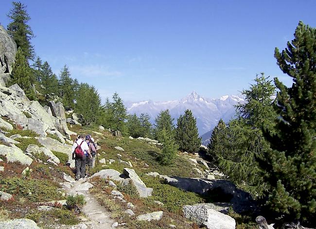 Der Höhenweg Grächen - Saas-Fee ist aber sofort offen.