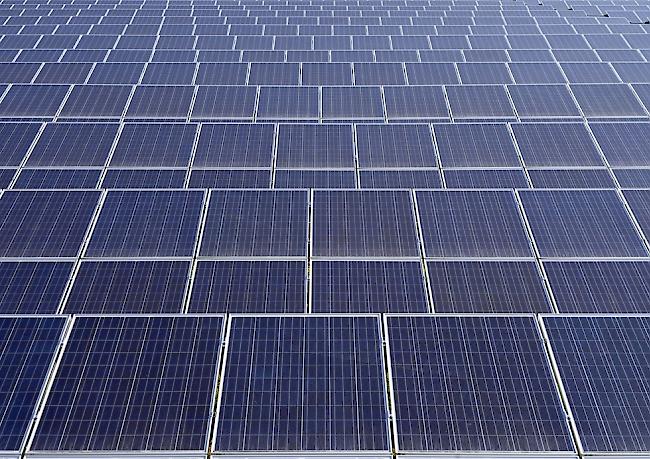 Pro Monat wurden rund 700 kleine Photovoltaikanlagen neu angemeldet.