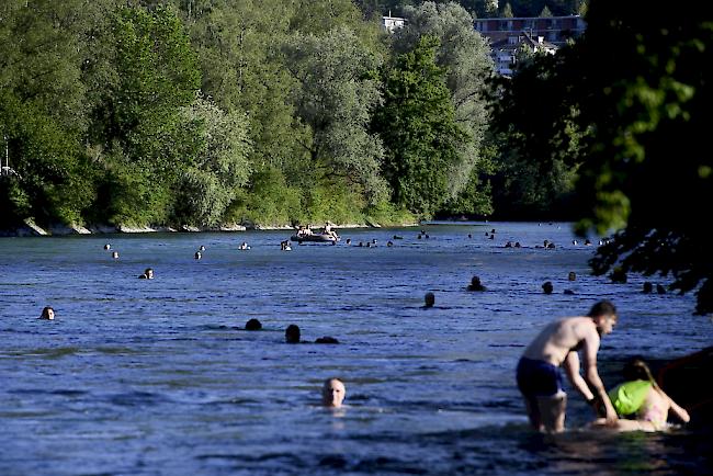 In der Aare in Bern wird seit Samstag ein Schwimmer vermisst. 