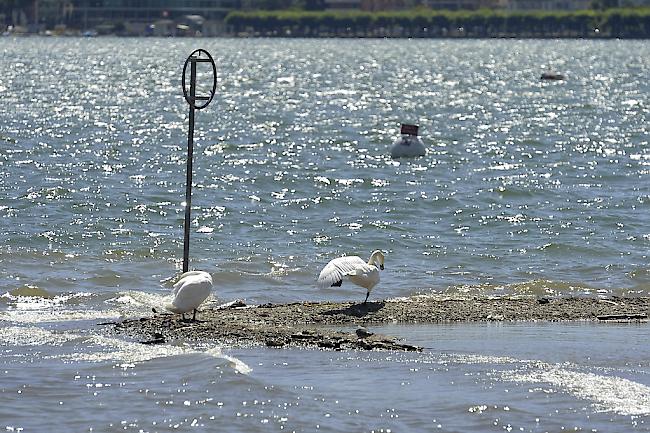 Am Sonntagabend ereignete sich in einem See im Burgund ein tragischer Badeunfall.
