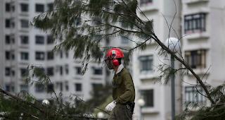 Taiwan bereitet sich auf die Ankunft von Taifun "Maria" vor. Der starke Wirbelsturm wird voraussichtlich am Dienstagabend (Ortszeit) knapp n&ouml;rdlich der Insel vor&uuml;berziehen.