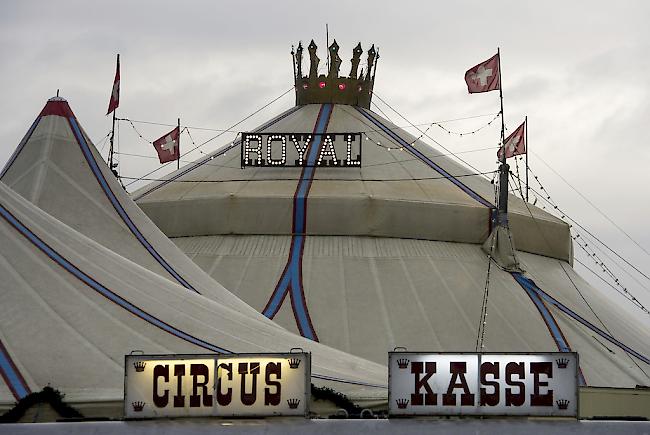 Im Juni ist ein Konkursverfahren gegen die Circus Royal Betriebs GmbH eingeleitet worden. 