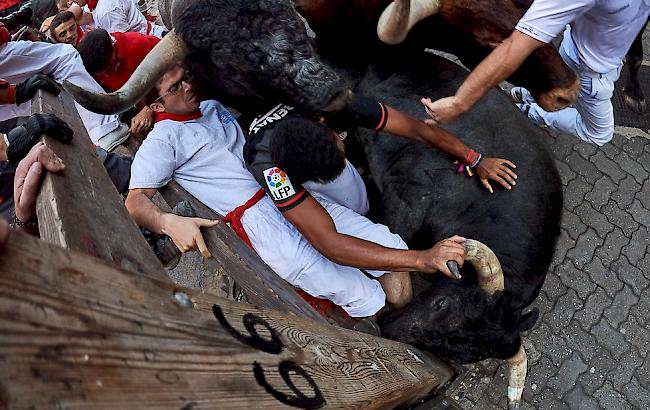 Bei den diesjährigen Stierrennen des traditionsreichen Sanfermines-Festes sind in Spanien insgesamt 31 Läufer ins Spital gekommen.