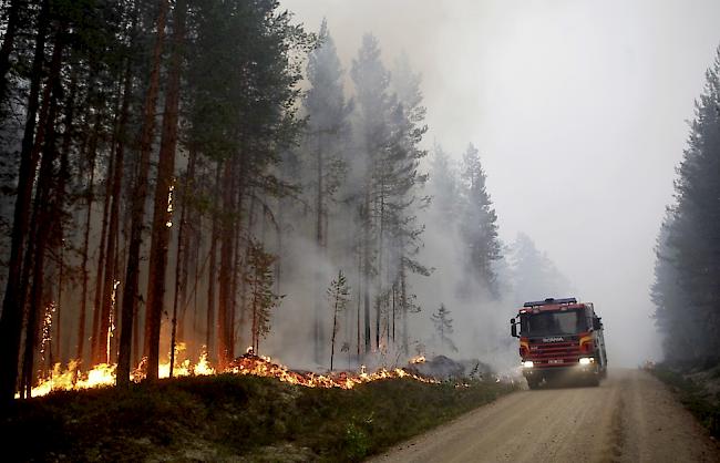  In Schweden sind Waldbrände ausser Kontrolle geraten.  