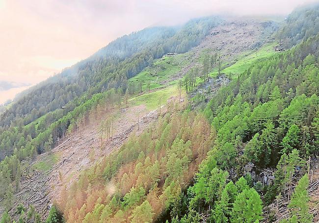 Naturgewalten. Im Turtmanntal wurden im vergangenen Winter ganze Waldstücke ausradiert.