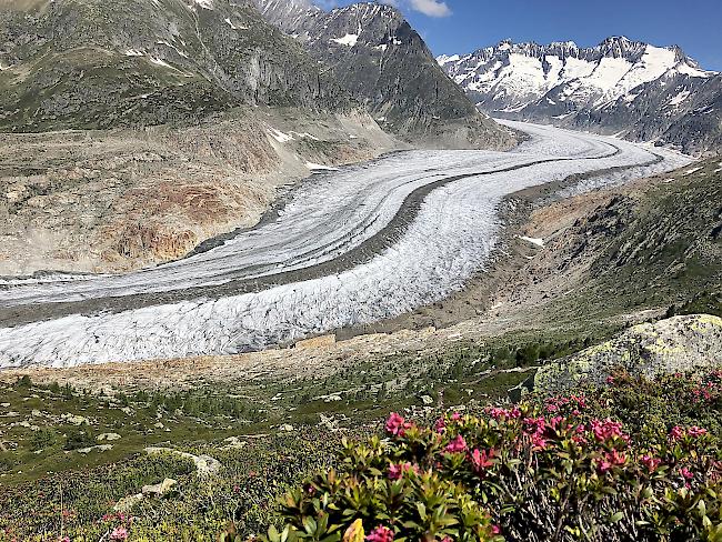 Allein im Jahr 2017/18 haben die Gletscher in der Schweiz 2,5 Prozent ihrer Masse verloren.