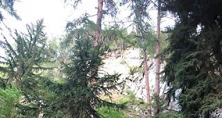 Untersuchung eingeleitet. Der genau Unfallhergang ist noch nicht gekl&auml;rt.