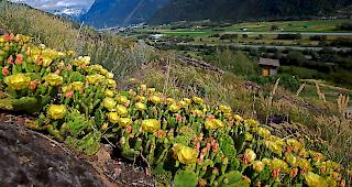 Am Samstag nehmen die Wolken tags&uuml;ber zu.