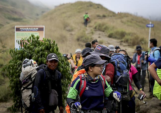 Blockiert. Nach dem Erdbeben auf der indonesischen Ferieninsel Lombok haben hunderte Wanderer auf einem aktiven Vulkan festgesessen. Betroffen waren 560 Touristen und Bergführer. Die Evakuierungsmassnahmen sind angelaufen und sollen bis Dienstag dauern.