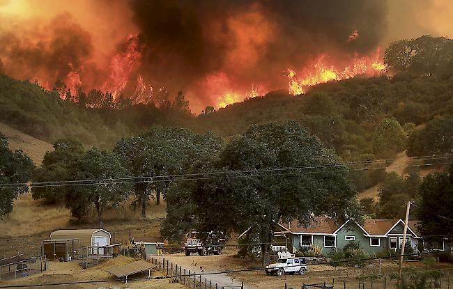 In Flammen. An der US-Westküste wüten derzeit zahlreiche Waldbrände.
