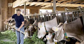 Die Bauern standen nicht geschlossen hinter der Vorlage.