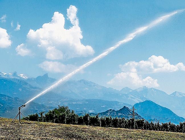 Bewässerungsanlagen helfen gegen die Trockenheit. Seit dem letzten Märzwochenende hat es in der Schweiz an den meisten Stationen keinen einzigen Regentropfen mehr gegeben.