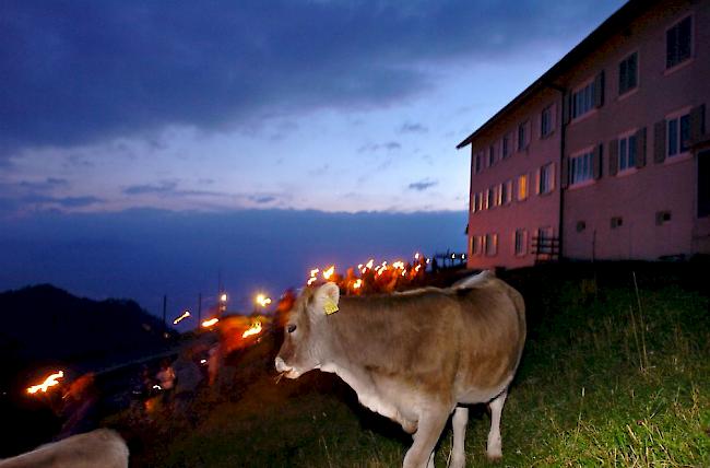 Ein Mahnfeuer auf der Rigi (Archiv)