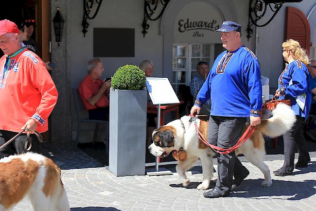 «Euseri Bernhardiner» durften am Folklore-Umzug nicht fehlen. 