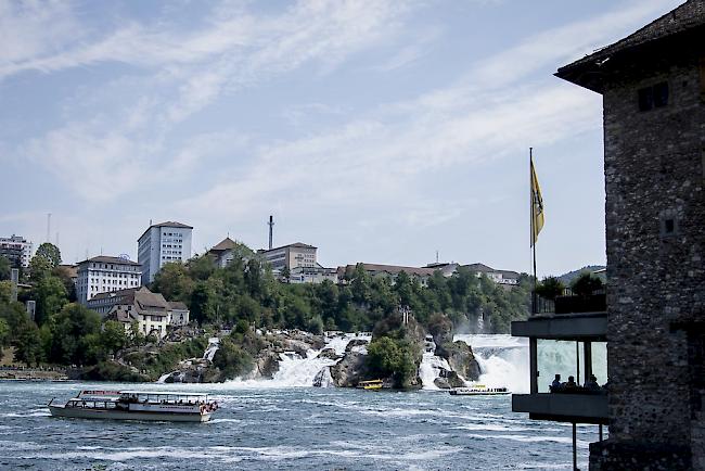 In Neuhausen am Rheinfall kommt es seit Juli zu starken Geruchsemissionen. 