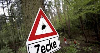 Deutlicher Anstieg der FSME-F&auml;lle in diesem Jahr.&nbsp;