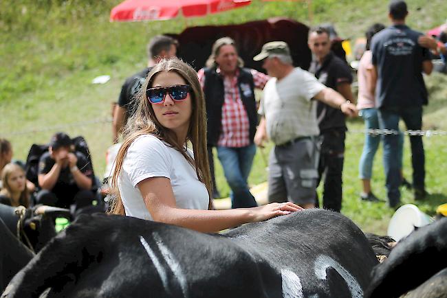 Impressionen vom diesjährigen Sommer-Ringkukampf in Zermatt.