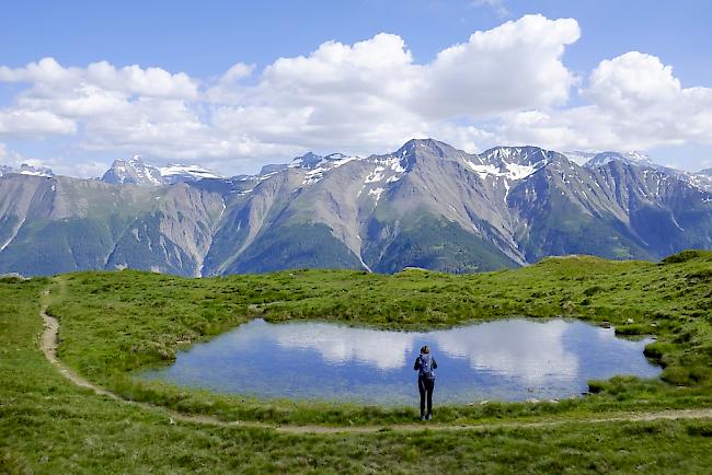 Die Sommerhitze hat viele Touristen in die Berge gelockt. 